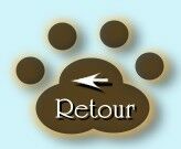 retour vers la page retraités Shetland Fée