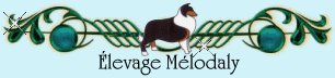 Mélodaly logo